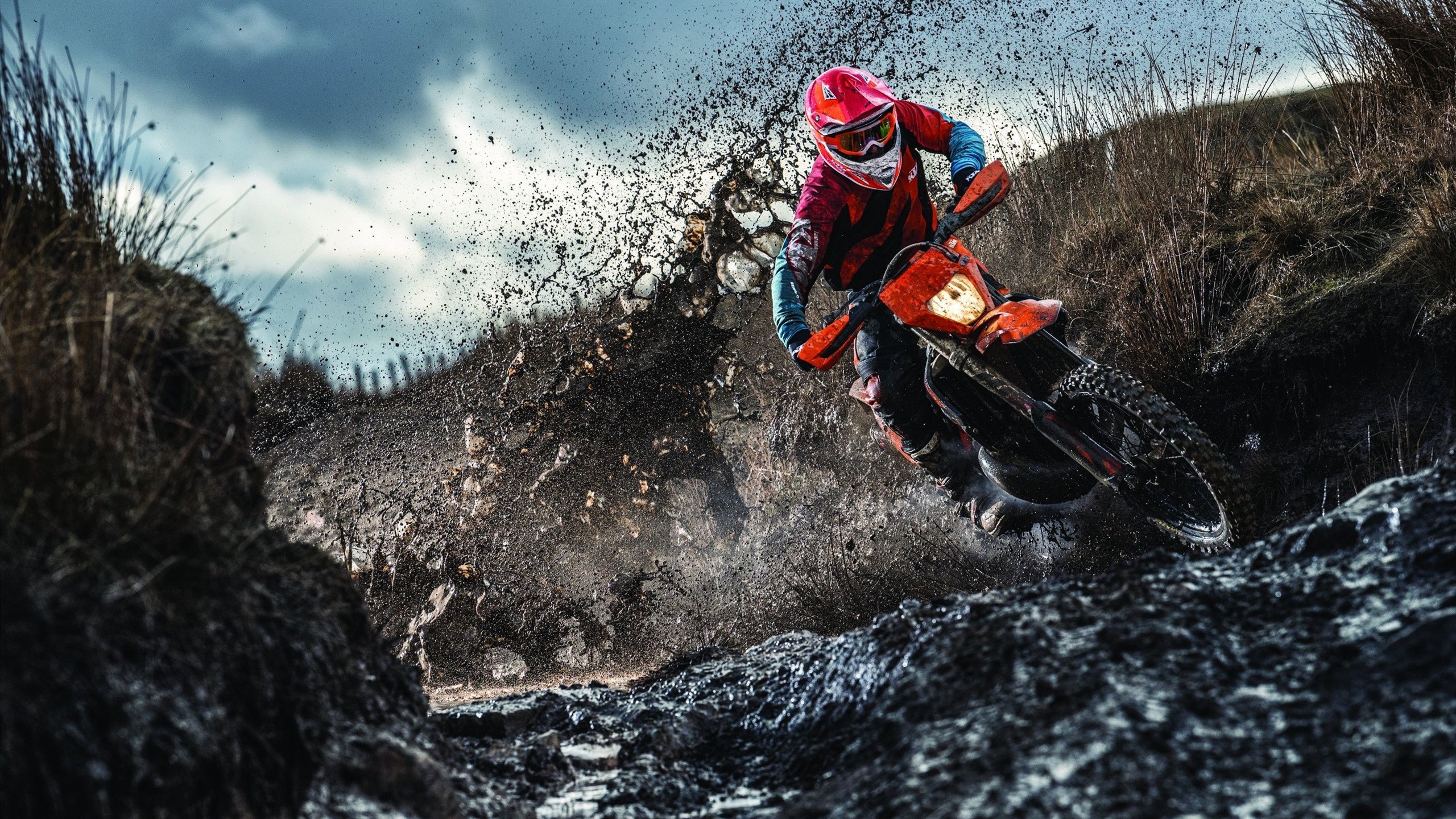 挪威队表现抢眼,实力暴露无遗,挪威的球员